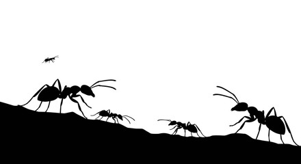 Silhouetted ants of various sizes marching across a dark textured surface against a bright white background