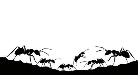 Silhouetted ants marching and working together on a textured ground against a bright white background