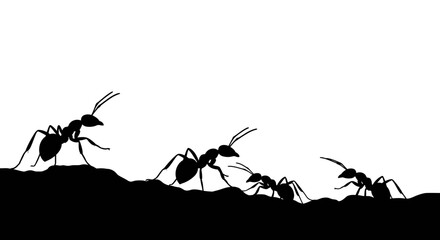 Silhouettes of ants marching in a line across a dark textured surface against a bright white background symbolizing teamwork and industry