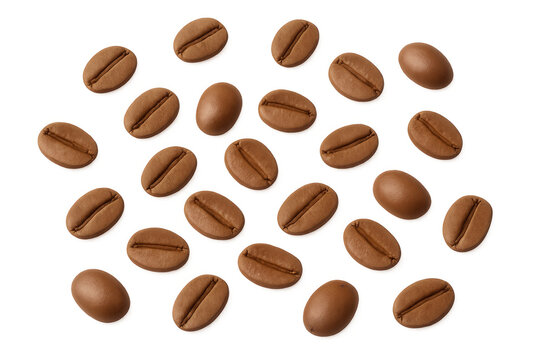 Roasted coffee beans cascading mid-air, showcasing rich brown tones against transparent backdrop, capturing coffee's dynamic essence