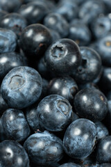 Macro View of Organic Blueberries. Natural Berry Background.