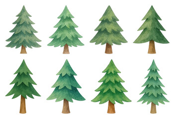Fototapeta premium PNG Watercolor evergreen tree illustrations, element set on transparent background