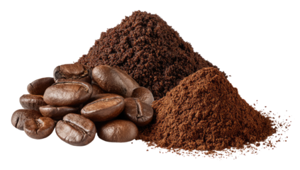Coffee beans and ground coffee (1)
