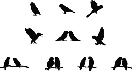 Bird silhouettes in various poses, flying and perched vector, black and white avian illustration, wildlife icon set, cad drawing flat vector illustration