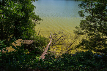 archipel, îles des açores, portugal