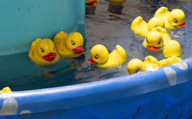 Pick Your Lucky Duck