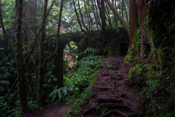 archipel, îles des açores, portugal