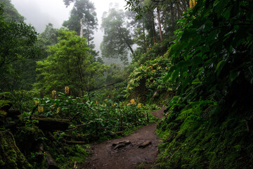 Obraz premium archipel, îles des açores, portugal