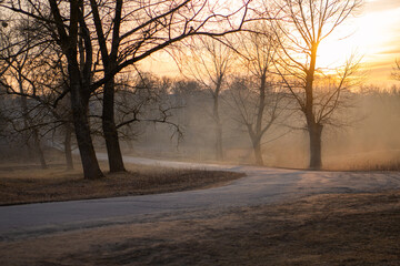 Scenic late autumn scene of a road lined with trees with fallen leaves, bathed in the warm light of a setting sun, with a soft haze in the background creating a tranquil and atmospheric landscape.