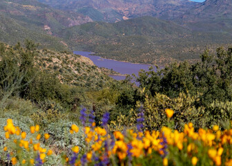 Lake and mountains with flowers in the foreground
