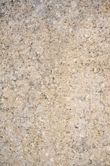 High-resolution close-up of plain concrete pavement surface with subtle cracks and speckled aggregate, suitable as a background or abstract texture.