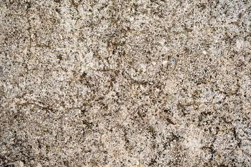 High-resolution close-up of rough, weathered concrete wall surface with visible cracks and grain, ideal as an abstract background or texture.