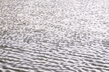Detailed close-up of ripples on a calm lake surface, creating abstract wave patterns and reflective textures in natural light.