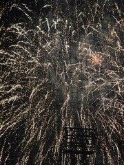 fireworks exploding into the night sky 