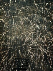 Fireworks exploding into the night sky 