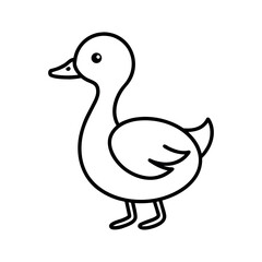 Fototapeta premium Little Grebe Outline on White Background
