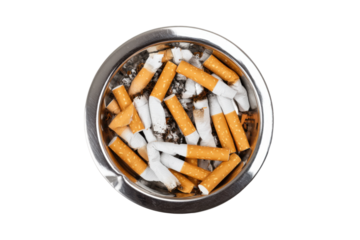 Cigarette butts clean-up event urban park photo outdoor aerial