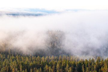 Fog covering Finnish taiga forest on an autumn morning after sunrise