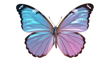 Obraz premium A striking butterfly with light blue and soft pink wings, isolated on transparent background
