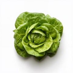 Obraz premium cabbage isolated on white
