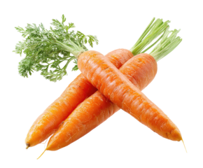 Fresh, vibrant carrots with green tops