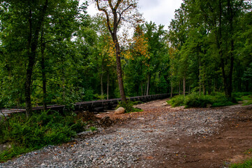 A serene wooded area shows a rustic train track winding through lush greenery. Autumn leaves are beginning to change, hinting at the seasonal shift. The quiet setting invites exploration.