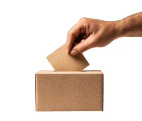 A hand inserts a ballot into a cardboard box (3)