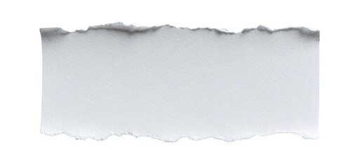 A rectangular, ripped piece of light gray paper