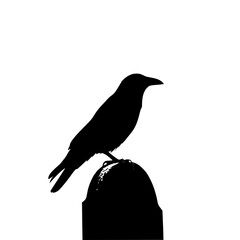 A solitary crow perched on a dark post against a bright sky