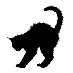 Black Cat Halloween Costume Spooky Animal Digital Art