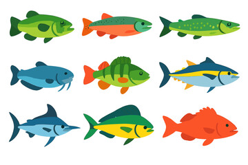 Naklejka premium Colorful Fish Icons. Flat vector icons of popular game fish: bass, trout, salmon, pike, catfish, perch, walleye, tuna, marlin,