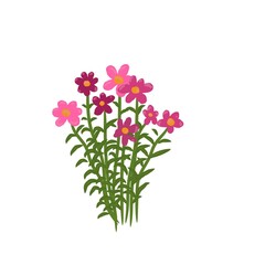 bouquet of pink flowers 