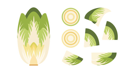 Obraz premium Stylized depiction of chinese cabbage, complete and sectioned for graphic use