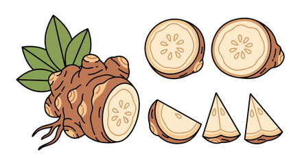 Jerusalem artichoke arrangement showcasing whole sliced and wedges shapes on