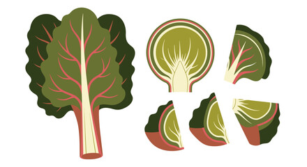 Stylized swiss chard illustration with sliced pieces on a white background