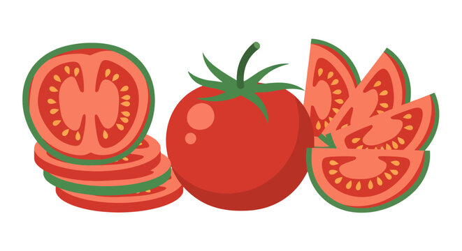 Vector illustration showing whole and sliced tomatoes ideal for food related
