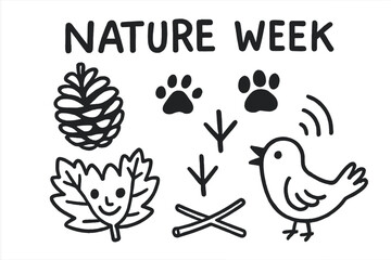 Preschool Nature Doodles. Preschooler nature week doodle set: hand drawn icons for pine cones, animal tracks, leaf crafts, and