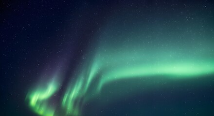 Naklejka premium Aurora borealis illuminates the night sky with mesmerizing green hues amidst a backdrop of twinkling stars.