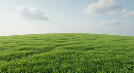 Obraz premium Lush green grass field under a serene blue sky offers a peaceful and calming natural backdrop