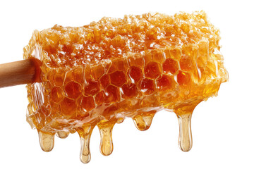 Honeycomb dripping with honey on a wooden stick