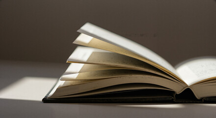 Open book with pages fanned out on a light surface  