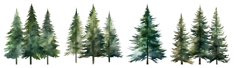 Obraz premium Watercolor evergreen trees forest
