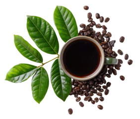 Freshly brewed coffee with green leaves and coffee beans.  A cup of dark coffee sits atop a bed of roasted beans, surrounded by vibrant green leaves