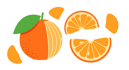 Whimsical orange illustration featuring stylized slices against a clean