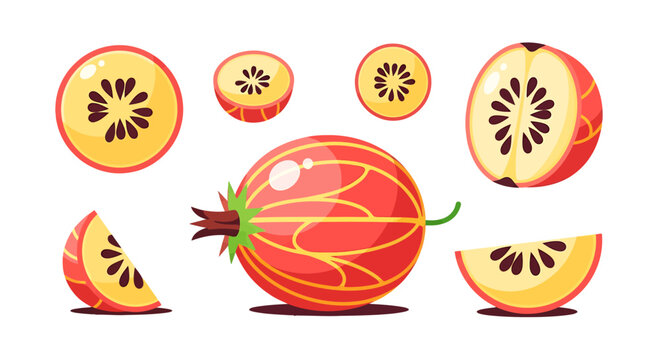 Artistic arrangement of gooseberry slices showcasing vibrant colors and unique