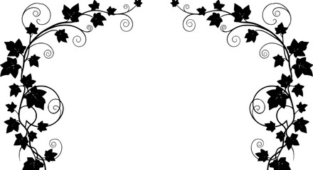 silhouette Ivy flower set, Ivy Vector, climbing ivy creeper branch isolated on white background vector
