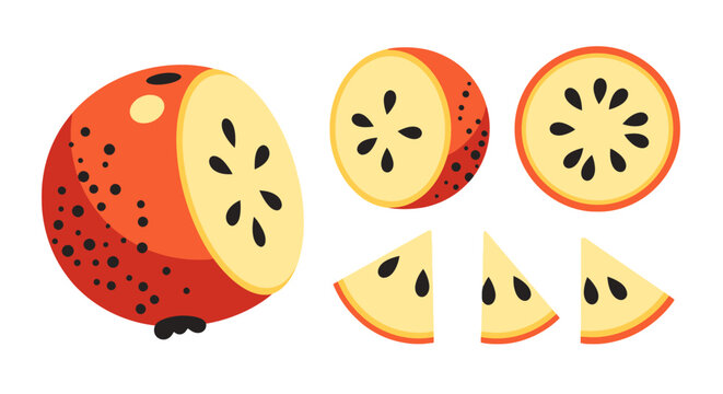 Whimsical apple slices in illustrative style for culinary themed designs