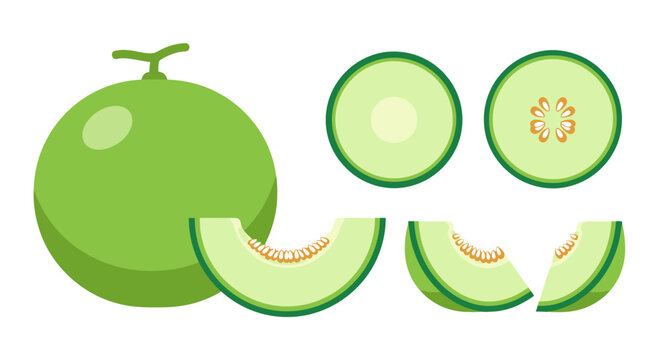 Vibrant assortment of melon cuts showcases healthy food choices and summertime