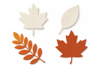 Four colorful autumn leaves, including maple and ash leaves, are displayed on a transparent background