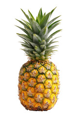 A whole pineapple, vibrant yellow-green